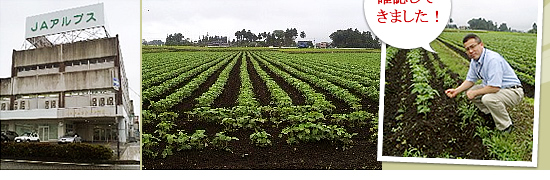 富山県アルプス農協に大豆契約栽培地の生育状況の確認をしてきました